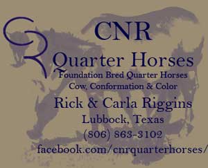 CNR Quarter Horses blue roans, grullos, duns, grays for sale in Lubbock, Texas