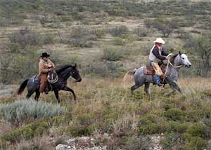Stout, heavy bone foundation bred quarter horses that make good using horses and last all day